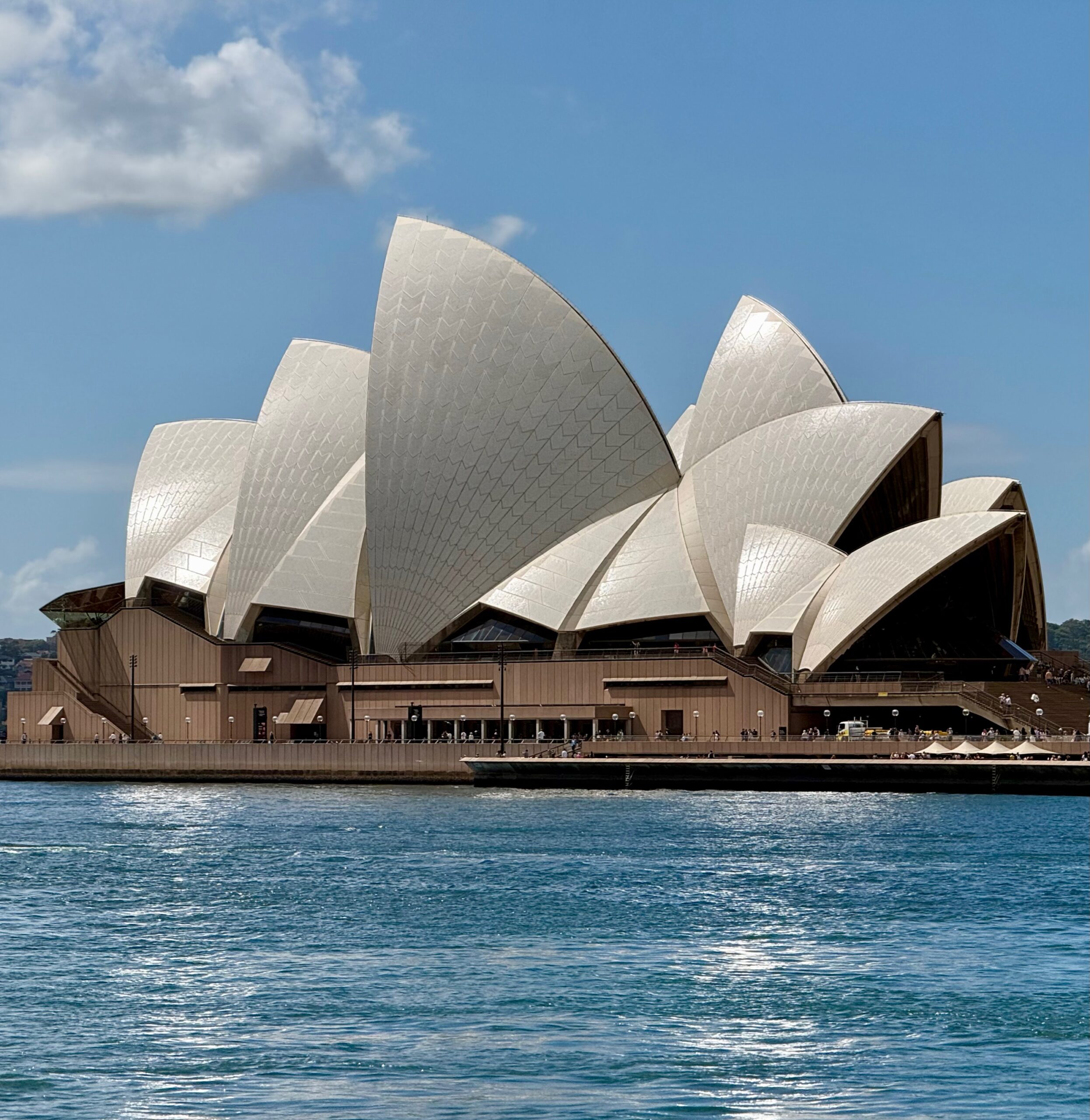 Sydney Shell Show