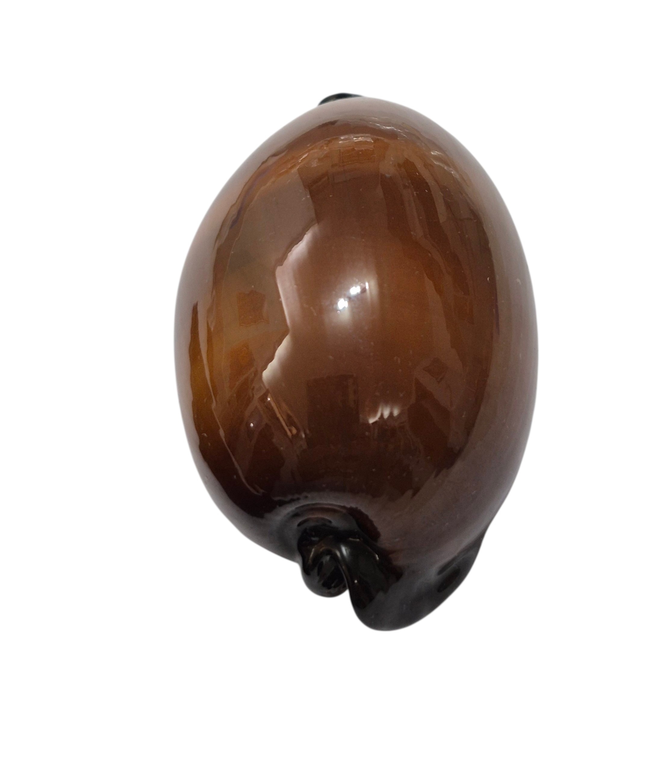 BC474 Talparia exusta - XL BEAUTY - Image 5