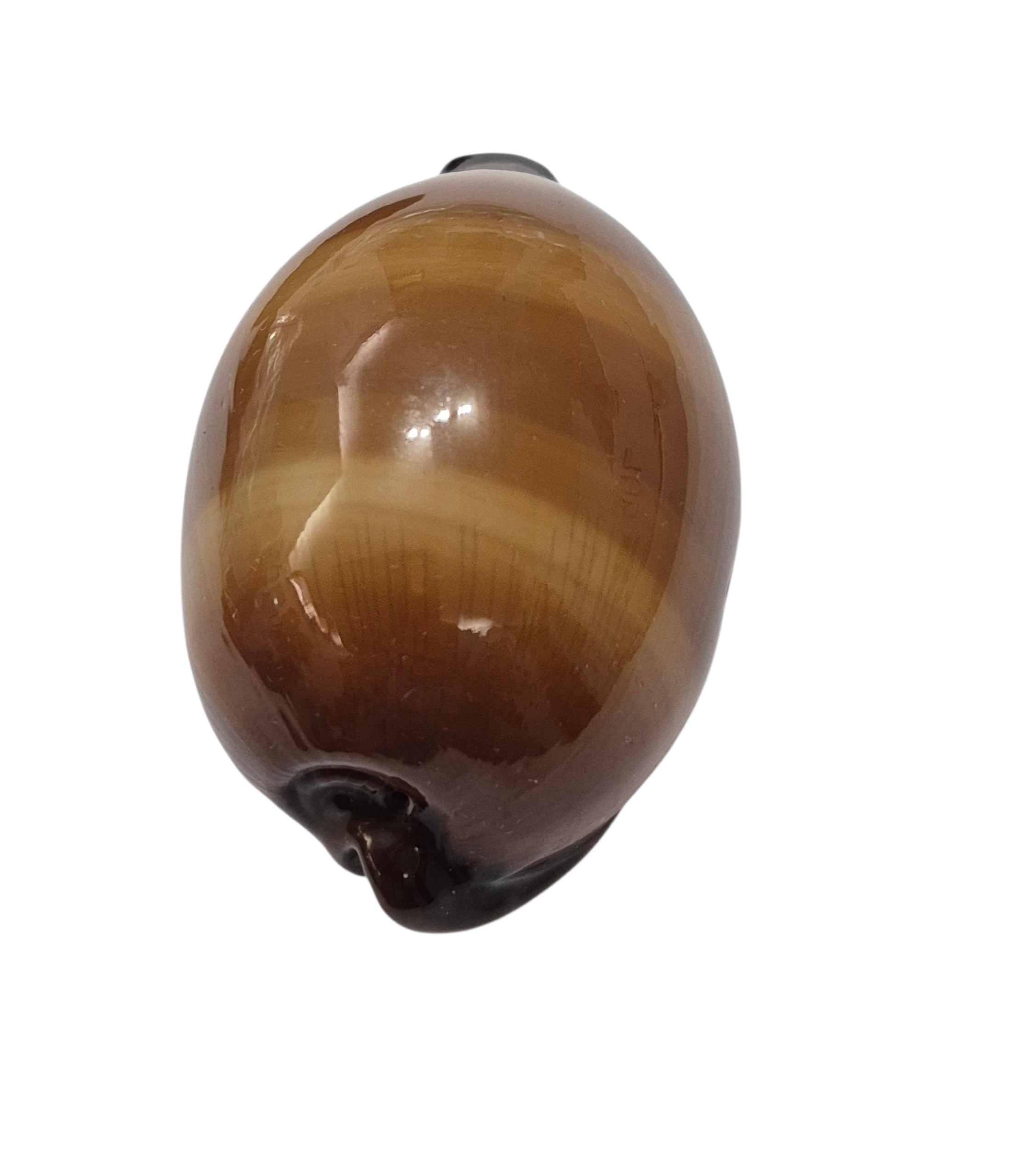 BC494 Talparia exusta - GREAT SHAPE - Image 4