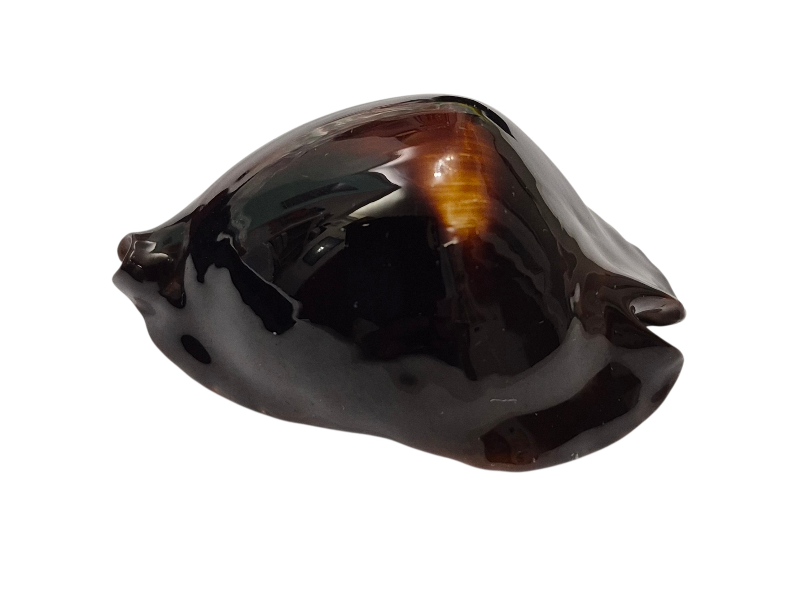 BC508 Zoila rosselli - GREAT BEAUTY - Image 3