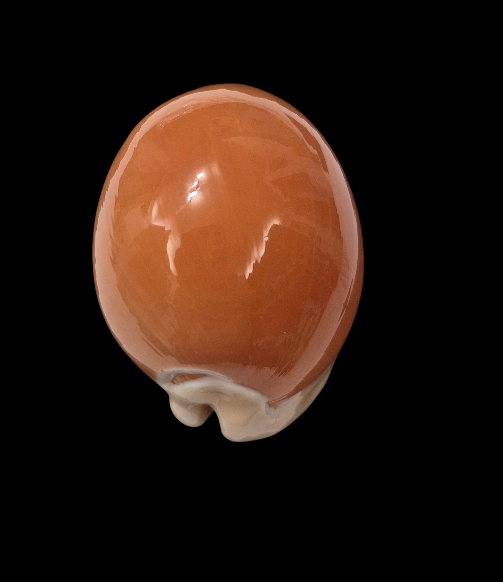 BC138 Callistocypraea aurantium - VERY SELECTED - Image 4